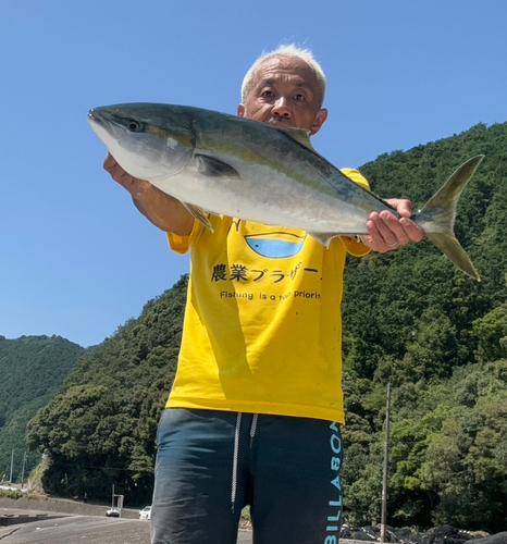 メジロの釣果