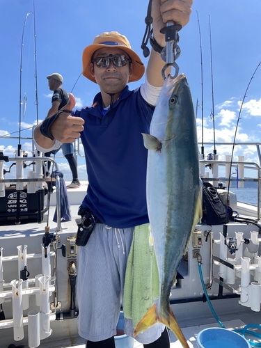 ハマチの釣果