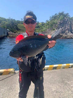 クチブトグレの釣果