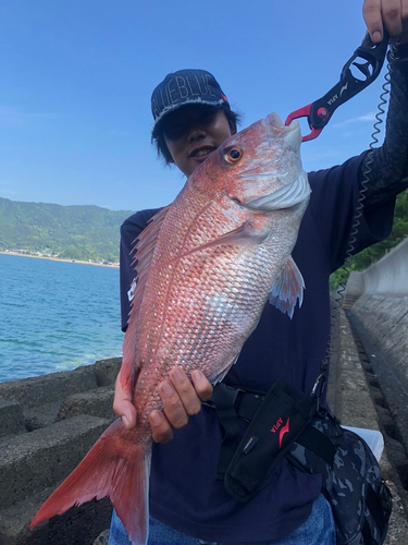 タイの釣果