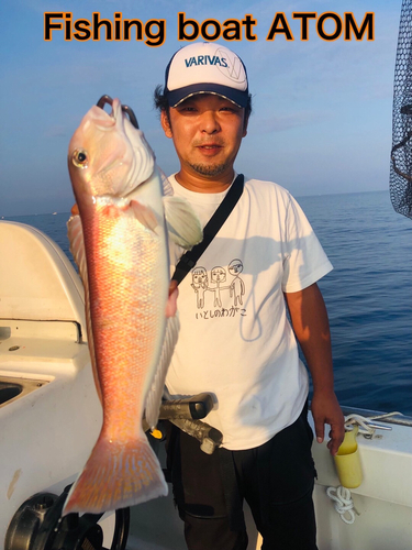 シロアマダイの釣果