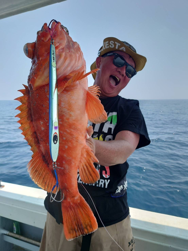 カケハシハタの釣果