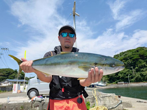 ブリの釣果