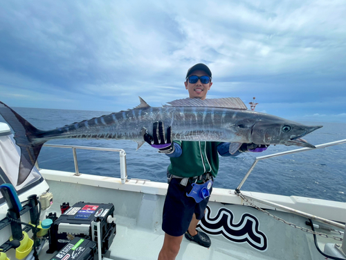 カマスサワラの釣果