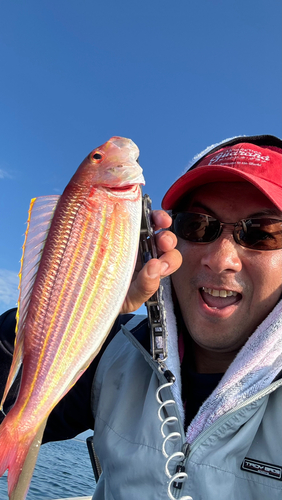 イトヨリダイの釣果