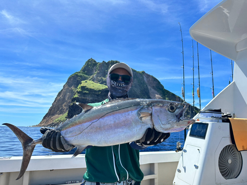 イソマグロの釣果