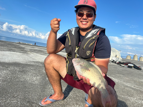 イラブチャーの釣果