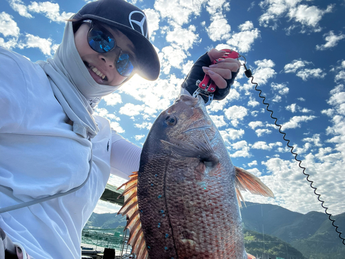 タイの釣果