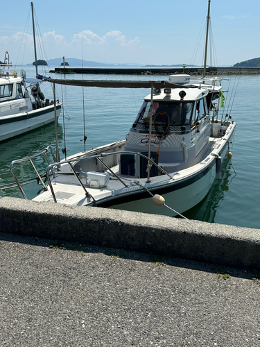 アコウの釣果