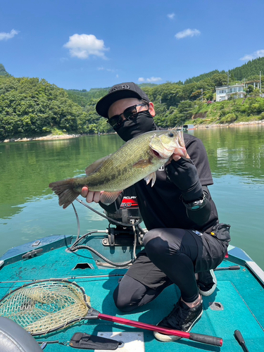 ブラックバスの釣果