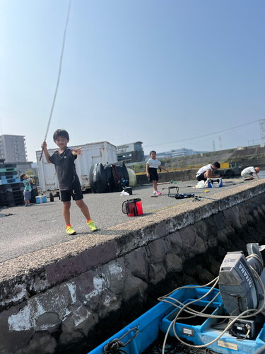 マハゼの釣果