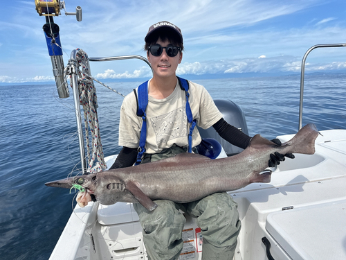 ヘラツノザメの釣果