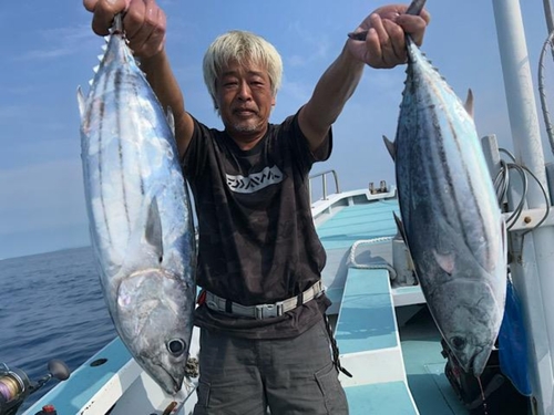 カツオの釣果