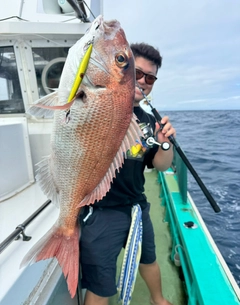 タイの釣果