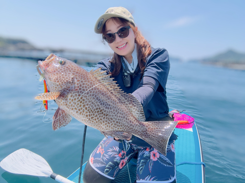 オオモンハタの釣果