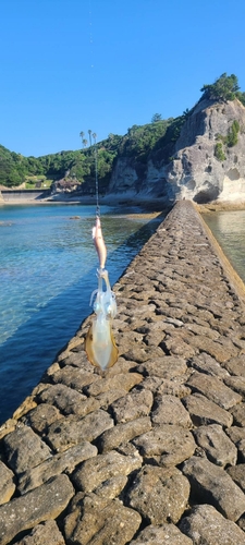 瀬戸漁港