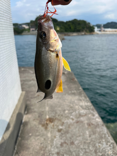 釣果