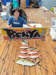 カンパチの釣果