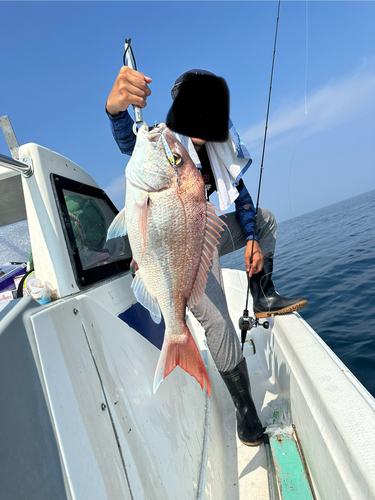 マダイの釣果