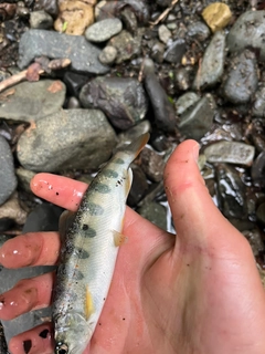 釣果