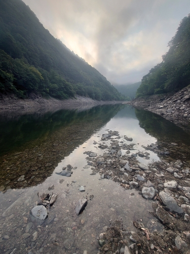 釣果