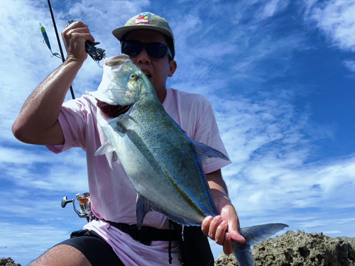 カスミアジの釣果