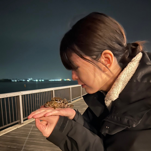 タケノコメバルの釣果