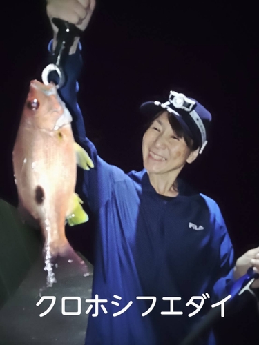 クロホシフエダイの釣果