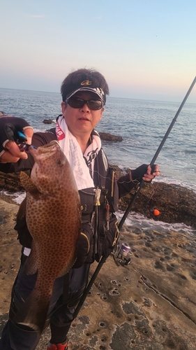 オオモンハタの釣果