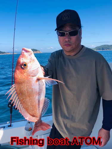 マダイの釣果