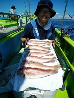 アマダイの釣果