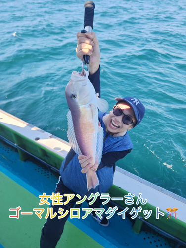 シロアマダイの釣果