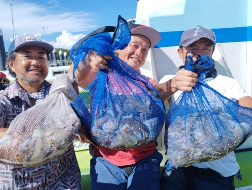 マダコの釣果