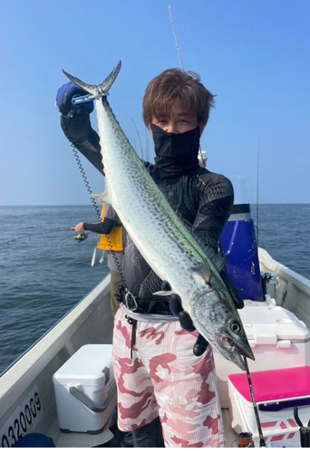 サワラの釣果