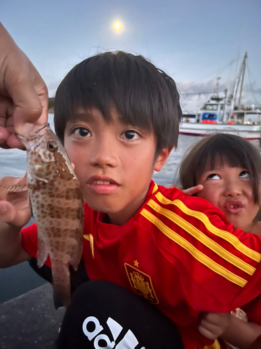 オオモンハタの釣果