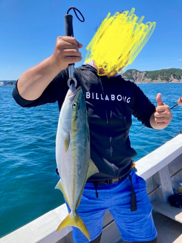 メジロの釣果