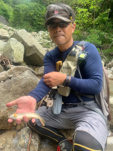 イワナの釣果