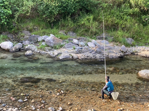 アユの釣果