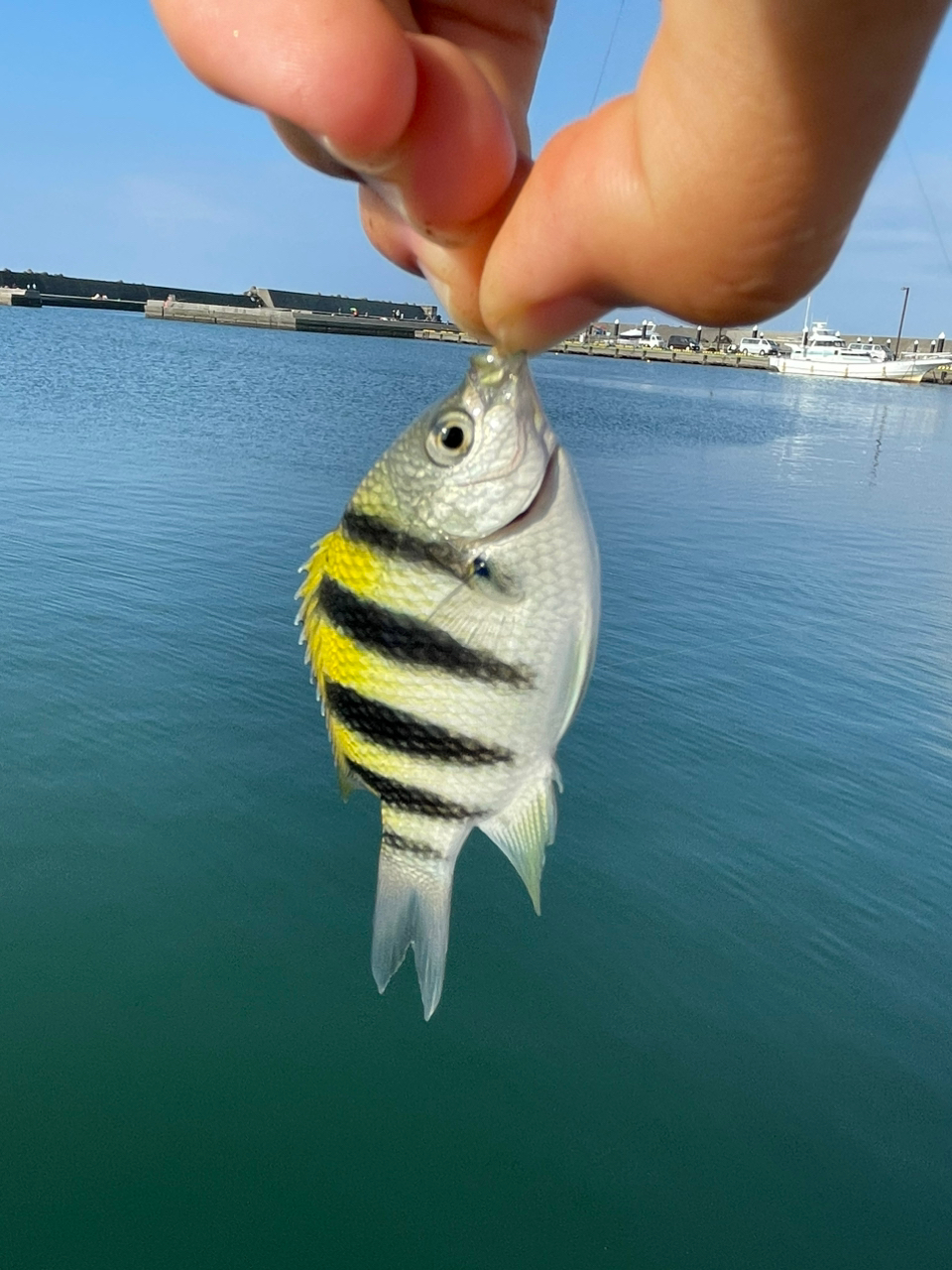 オヤビッチャ