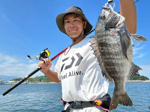 チヌの釣果