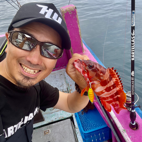 アカハタの釣果