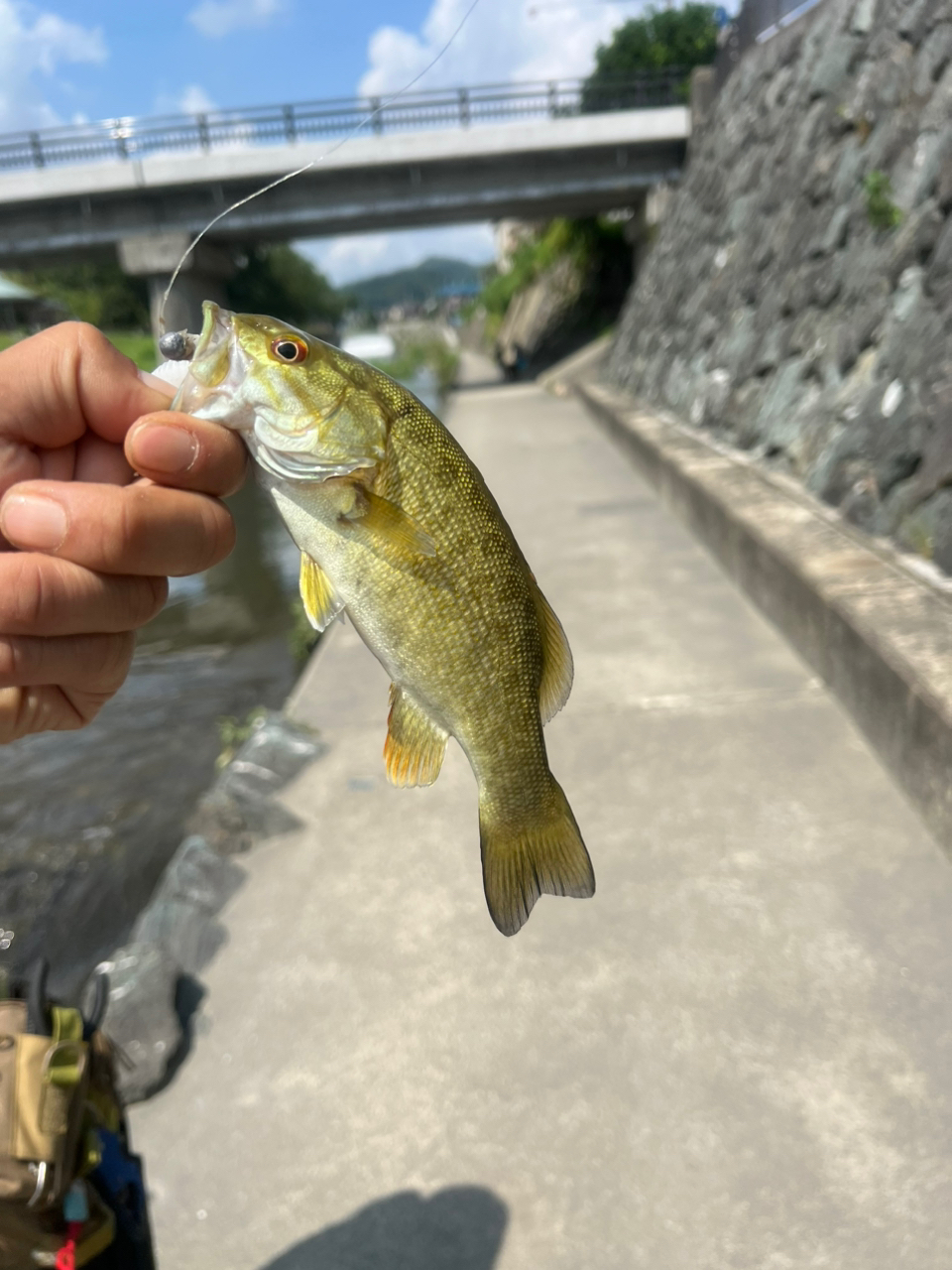 スモールマウスバス