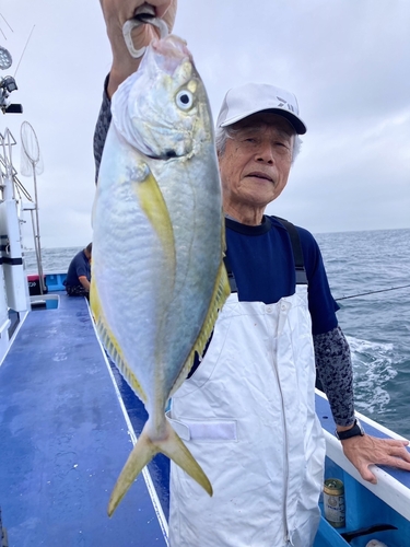 シマアジの釣果