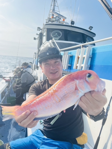 アマダイの釣果