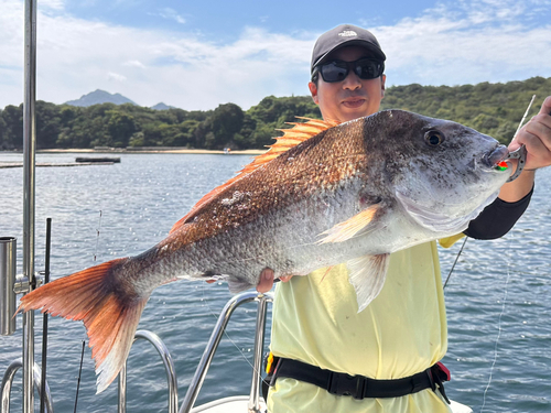 タイの釣果