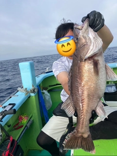 アラの釣果