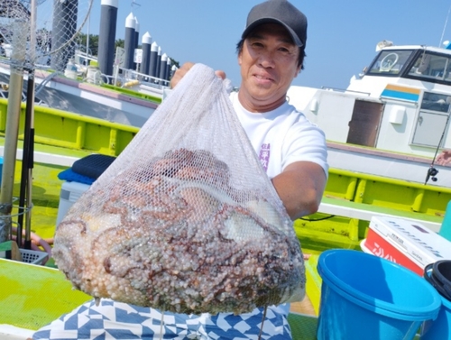 マダコの釣果