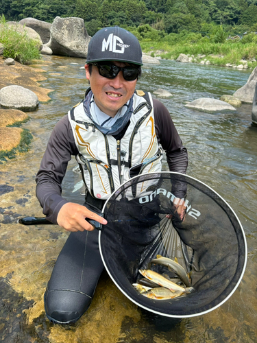 アユの釣果