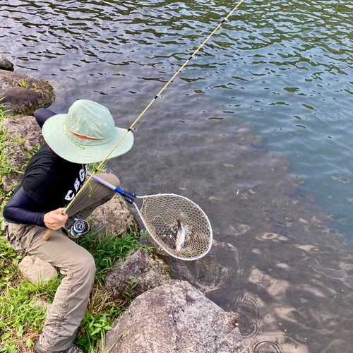 浅川国際マス釣場