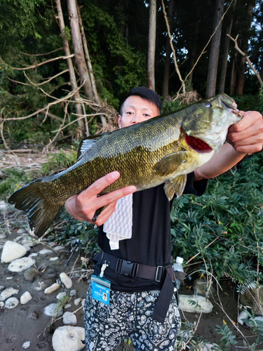 スモールマウスバスの釣果